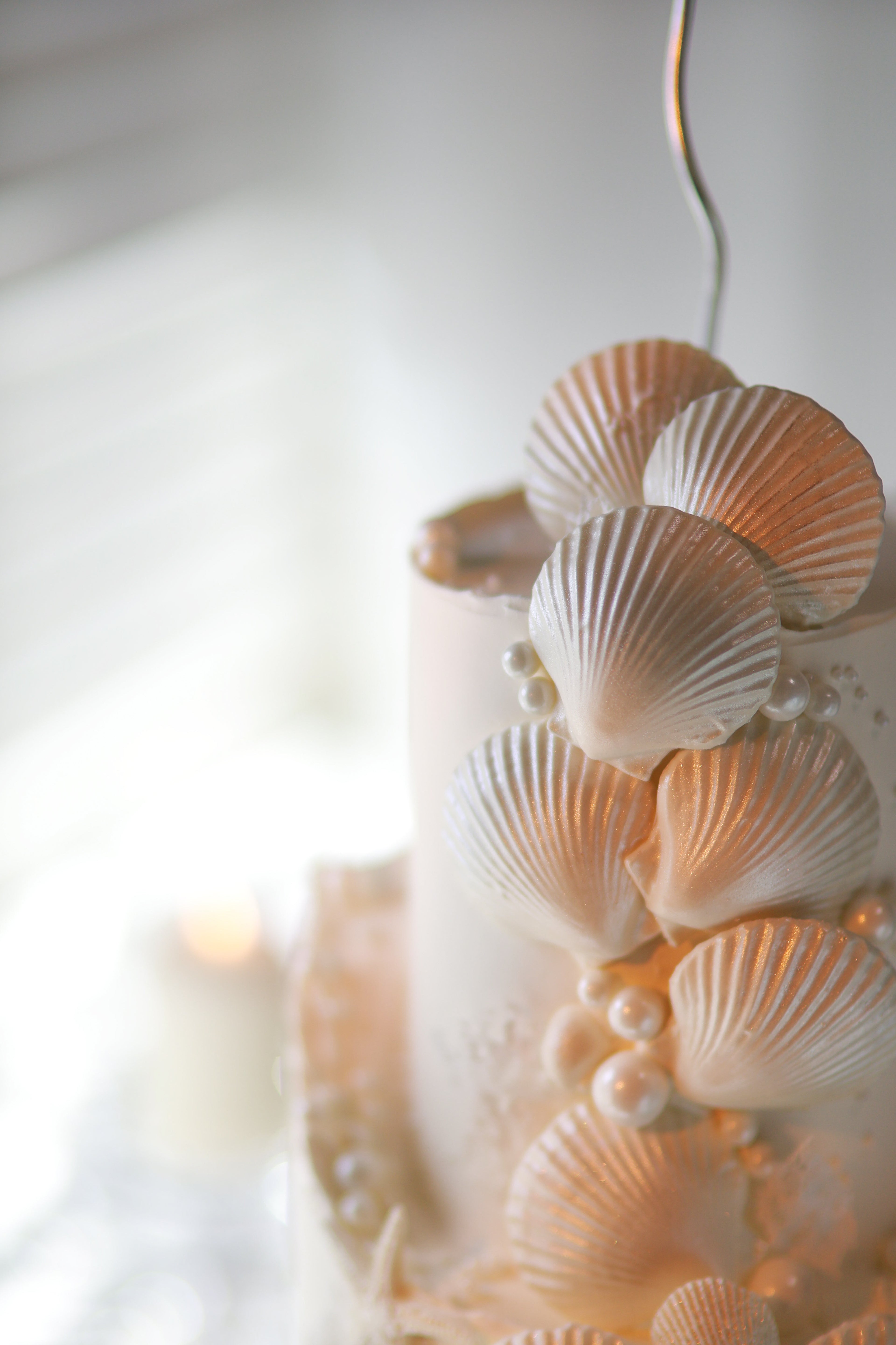 Shells