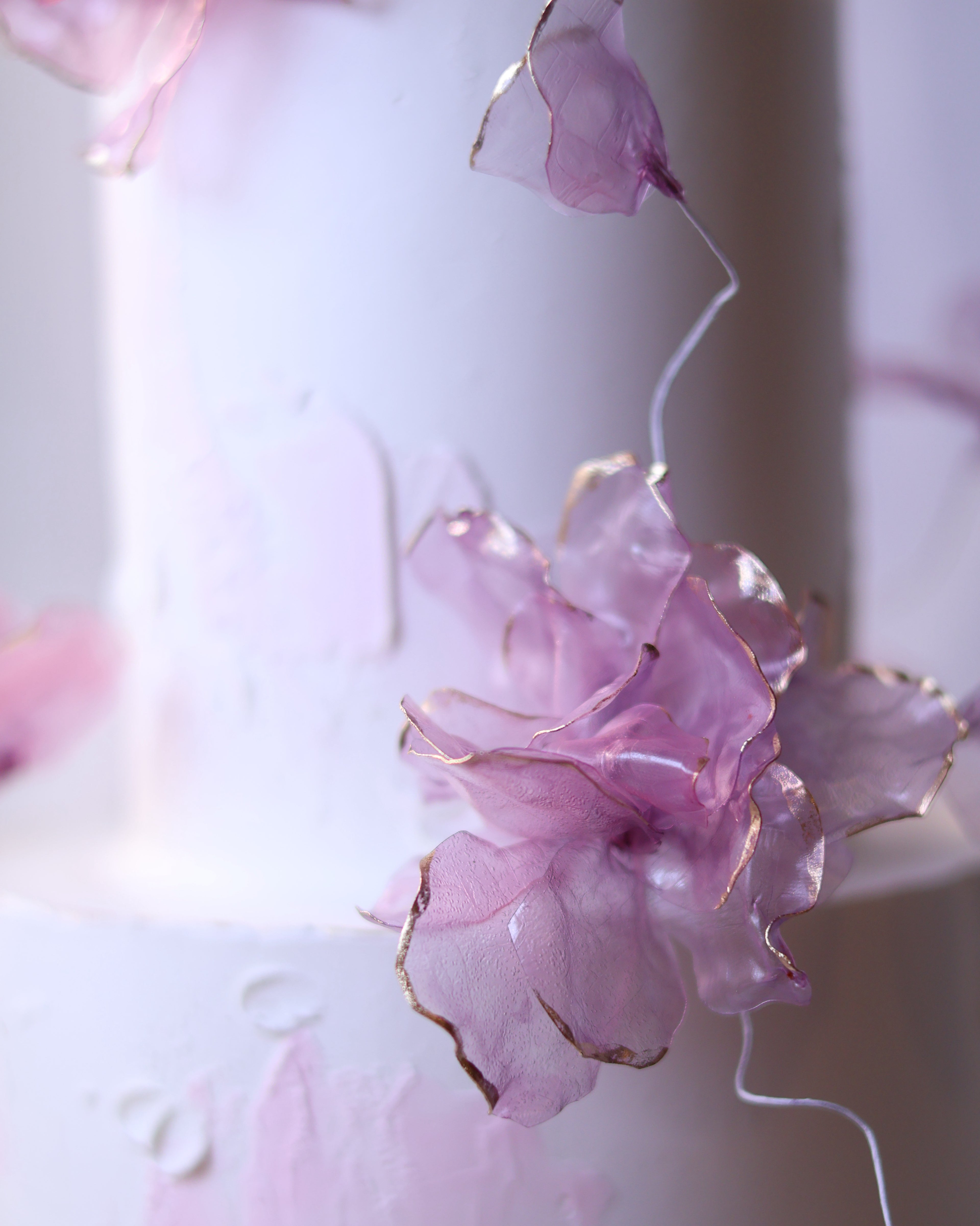 Purple rice paper