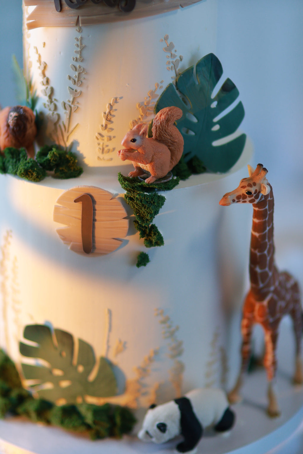 Safari