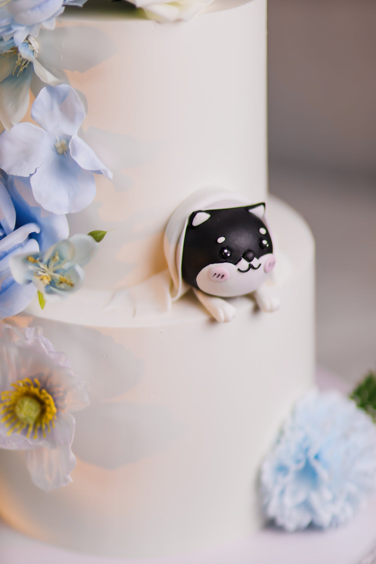 Pet and wedding cake