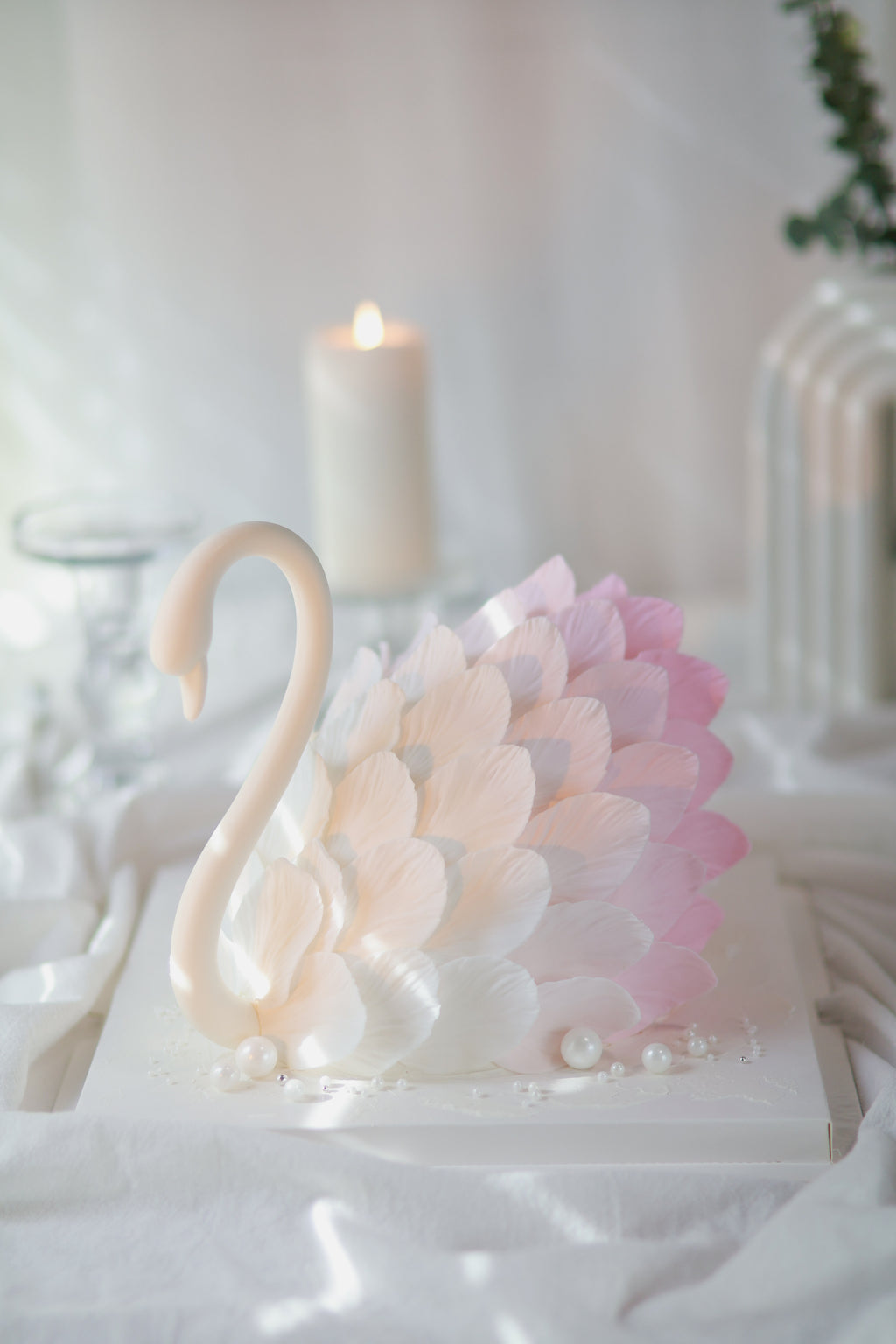 Swan