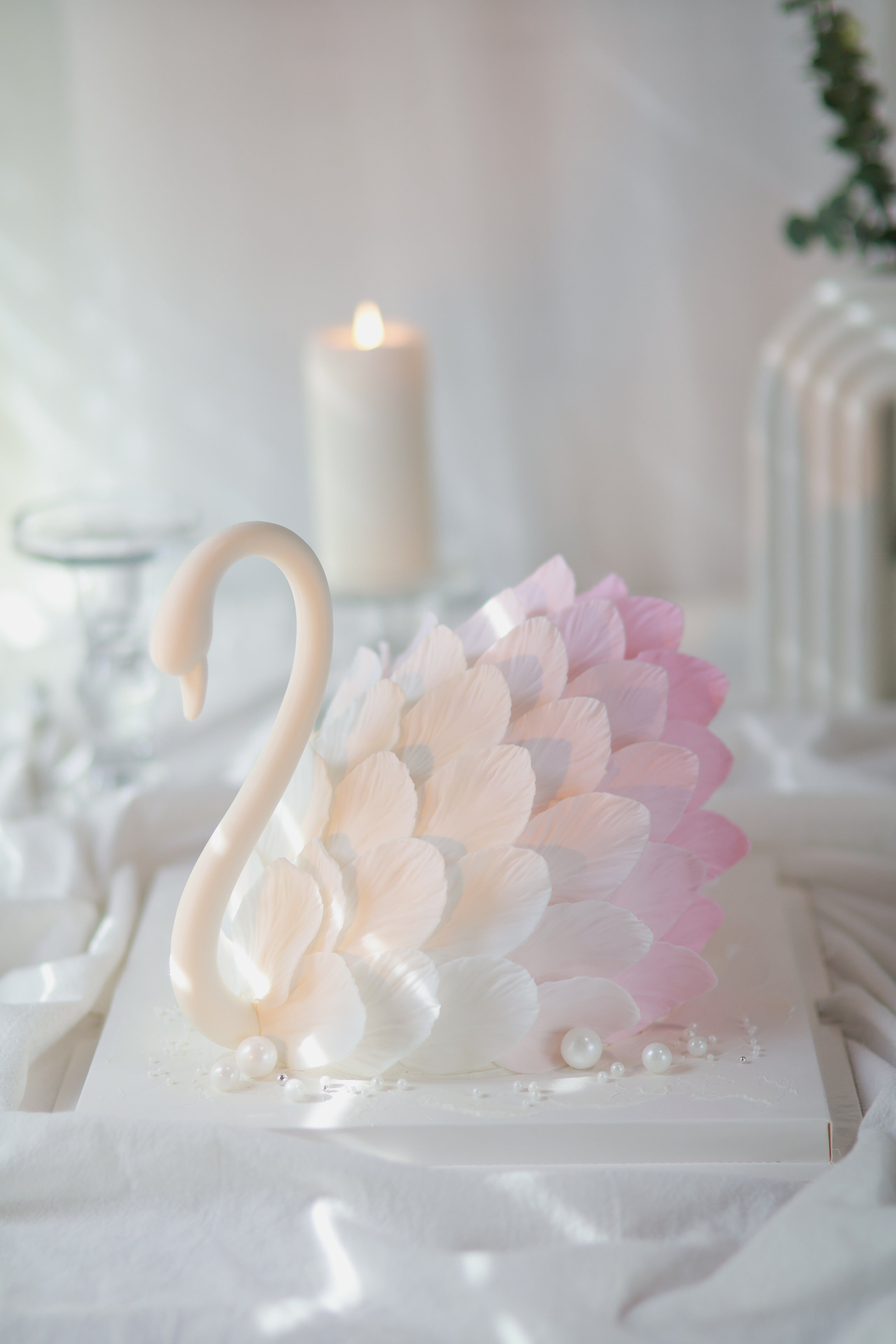 Swan