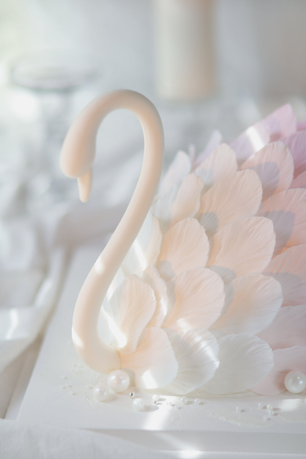Swan
