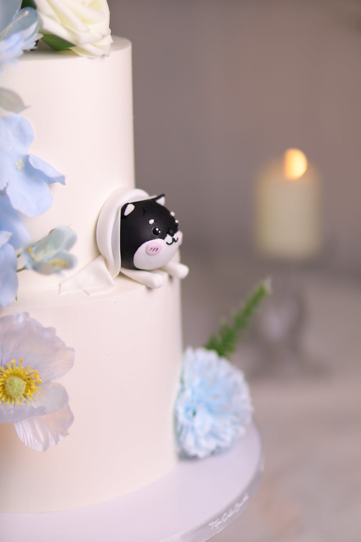 Pet and wedding cake